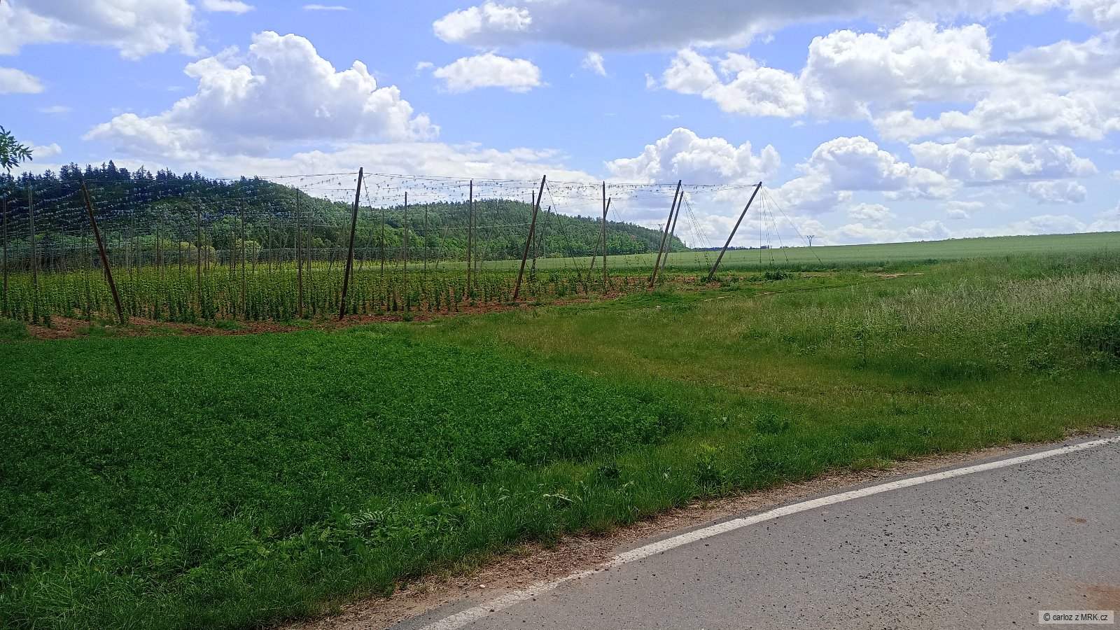kliknutím fotku zvětšíte