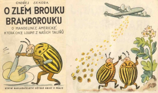 kliknutím fotku zvětšíte