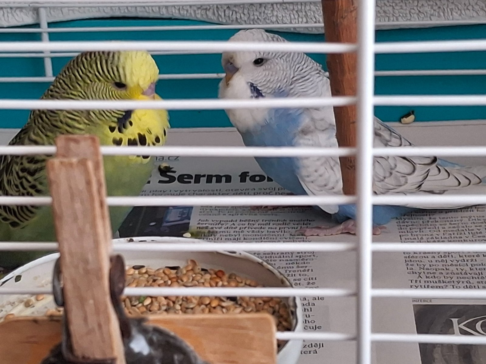 kliknutím fotku zvětšíte