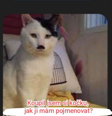 kliknutím fotku zvětšíte