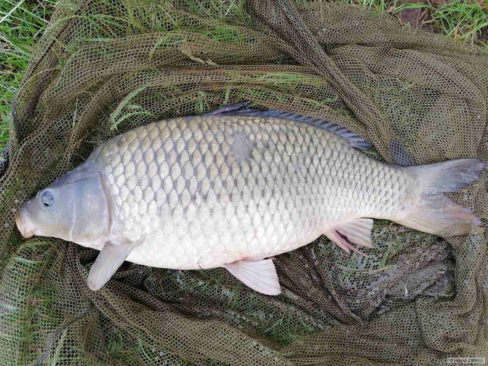 kliknutím fotku zvětšíte