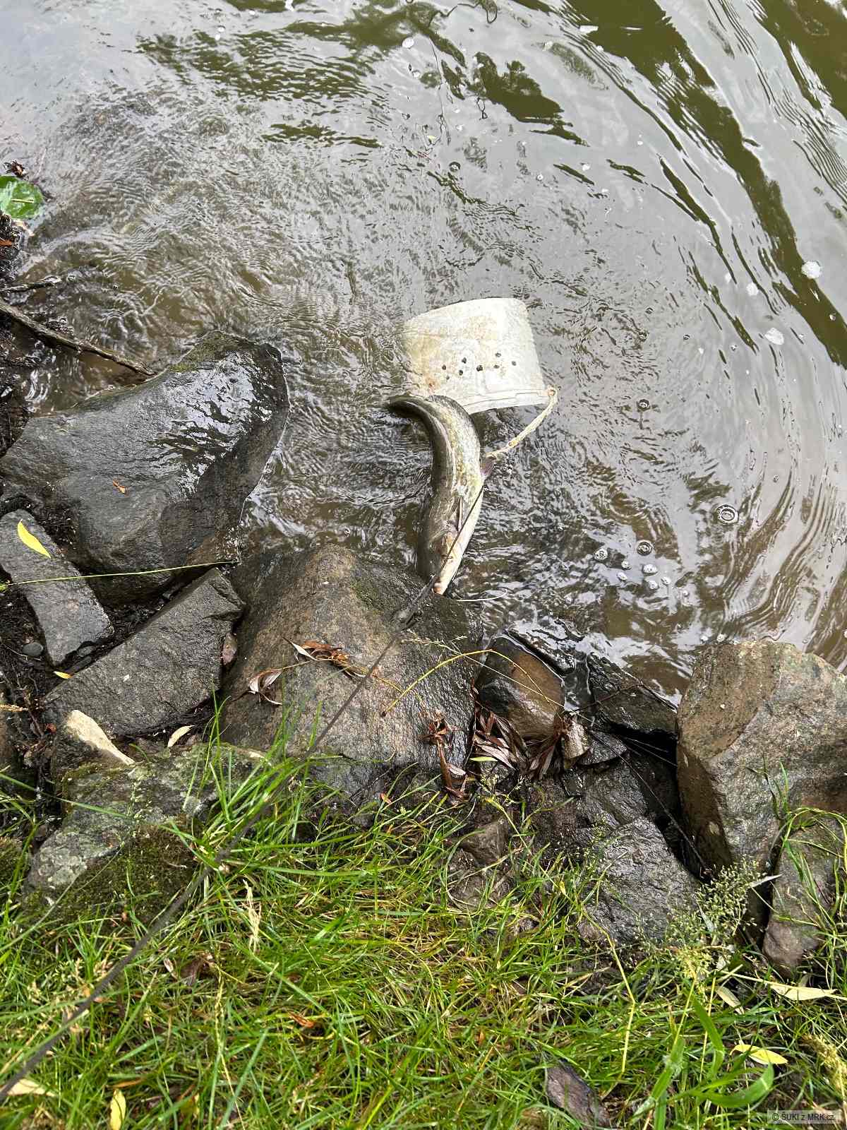 kliknutím fotku zvětšíte