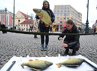 kliknutím fotku zvětšíte