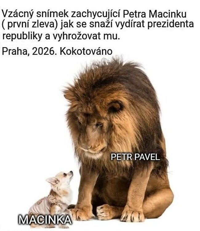 kliknutím fotku zvětšíte