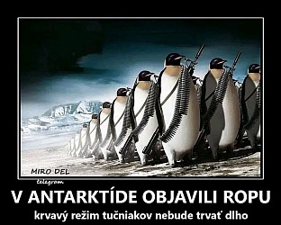 kliknutím fotku zvětšíte