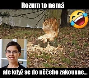kliknutím fotku zvětšíte