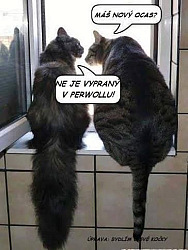 kliknutím fotku zvětšíte