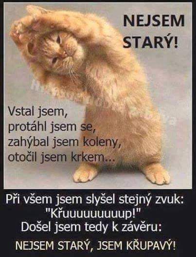 kliknutím fotku zvětšíte