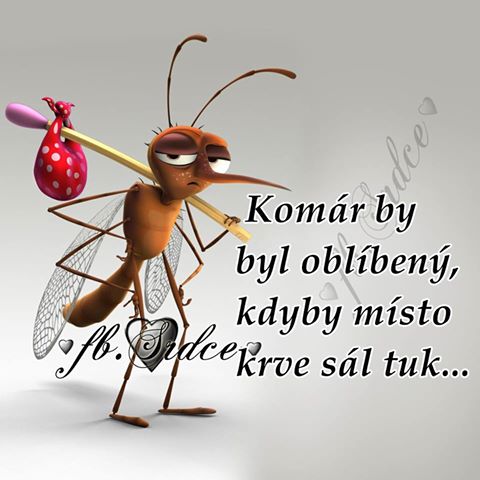 kliknutím fotku zvětšíte