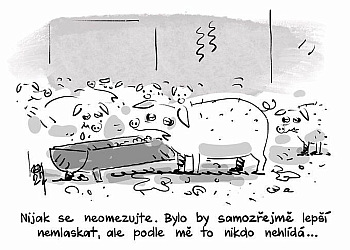kliknutím fotku zvětšíte