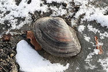 kliknutím fotku zvětšíte