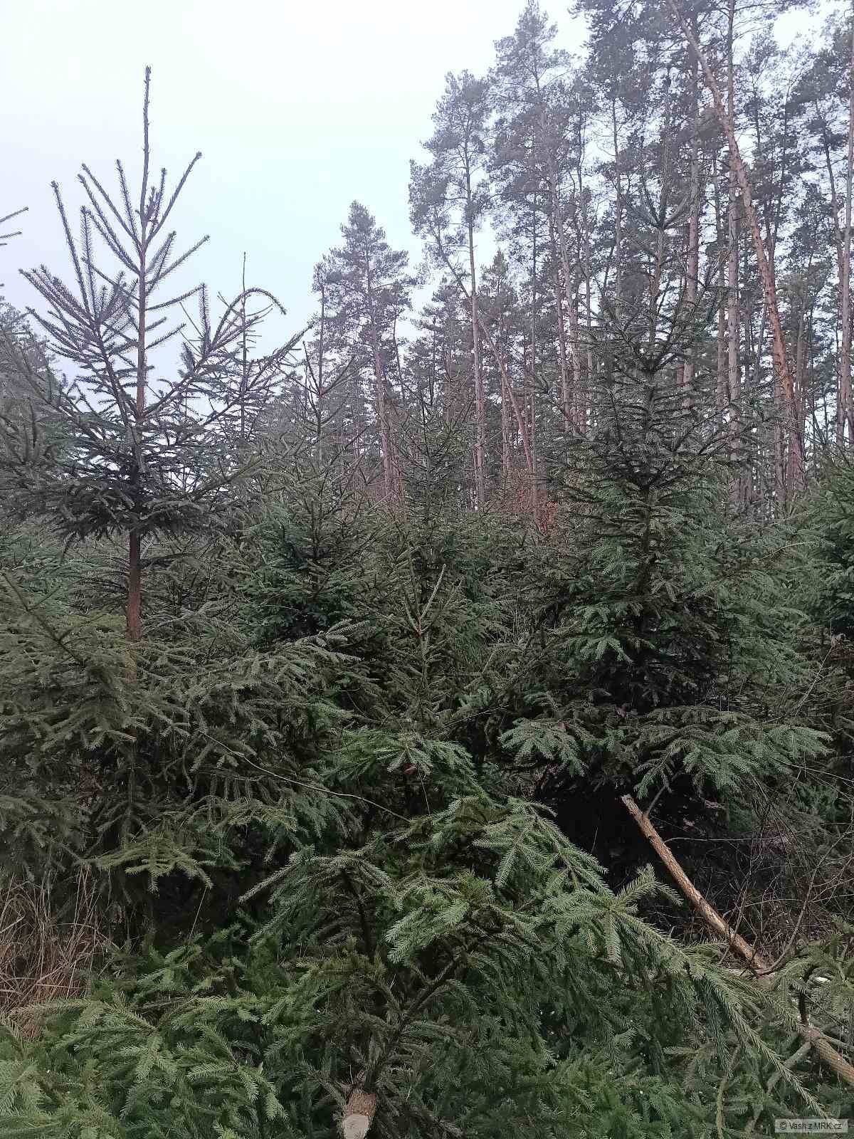 kliknutím fotku zvětšíte