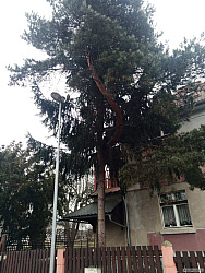 kliknutím fotku zvětšíte