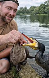 kliknutím fotku zvětšíte
