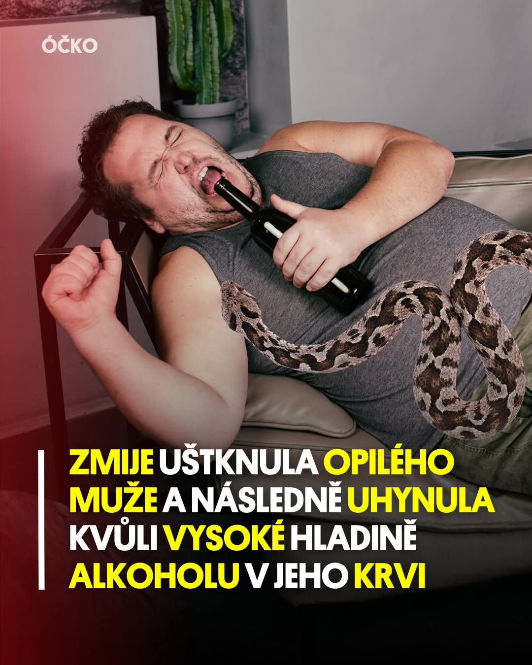 kliknutím fotku zvětšíte