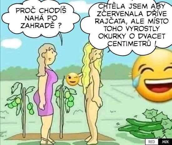 kliknutím fotku zvětšíte