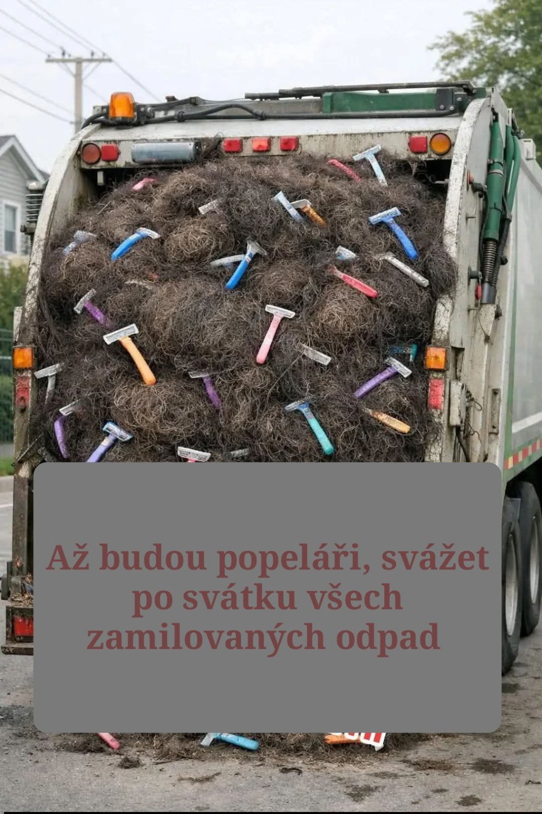 kliknutím fotku zvětšíte