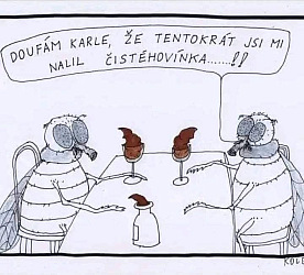 kliknutím fotku zvětšíte