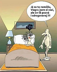 kliknutím fotku zvětšíte