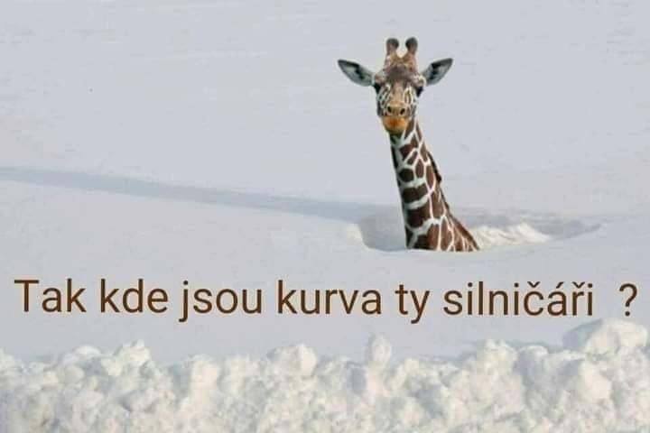kliknutím fotku zvětšíte