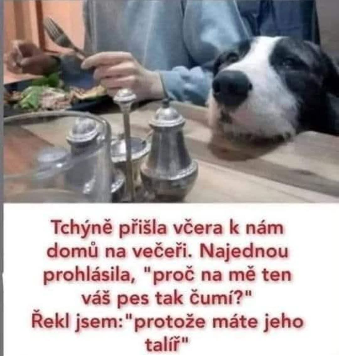 kliknutím fotku zvětšíte