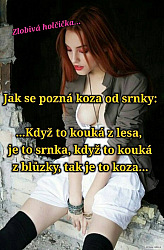 kliknutím fotku zvětšíte
