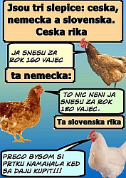kliknutím fotku zvětšíte