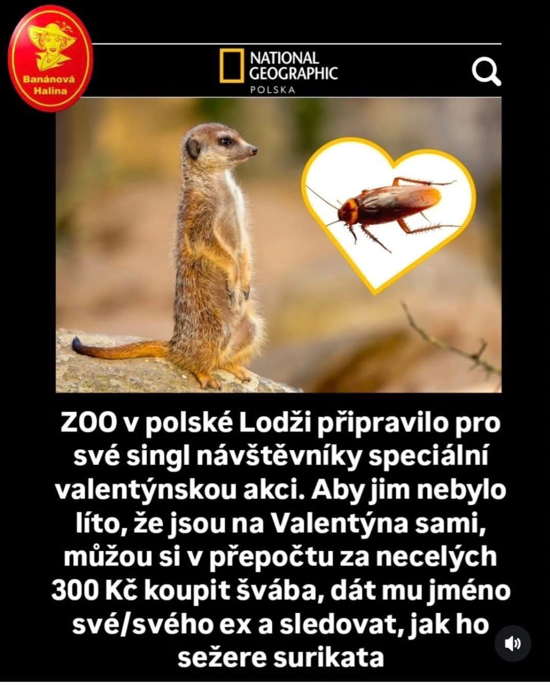 kliknutím fotku zvětšíte