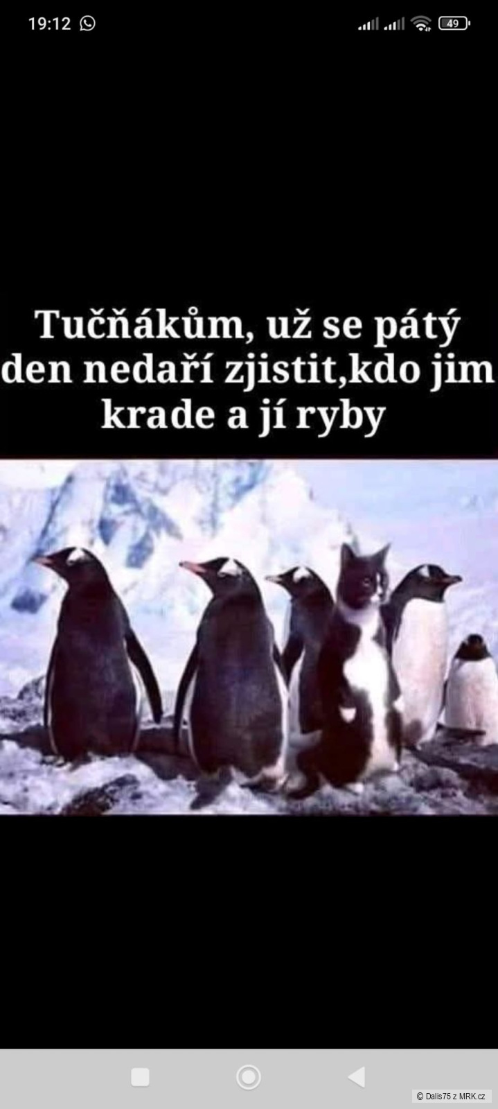 kliknutím fotku zvětšíte