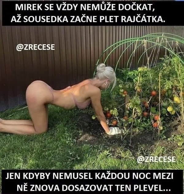 kliknutím fotku zvětšíte