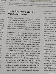 kliknutím fotku zvětšíte