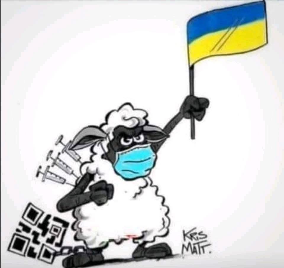 kliknutím fotku zvětšíte