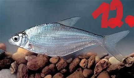 kliknutím fotku zvětšíte