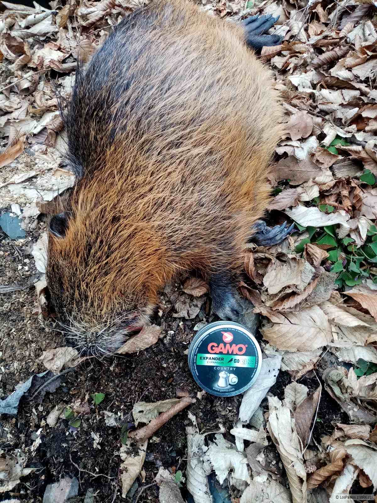 kliknutím fotku zvětšíte