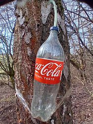 kliknutím fotku zvětšíte