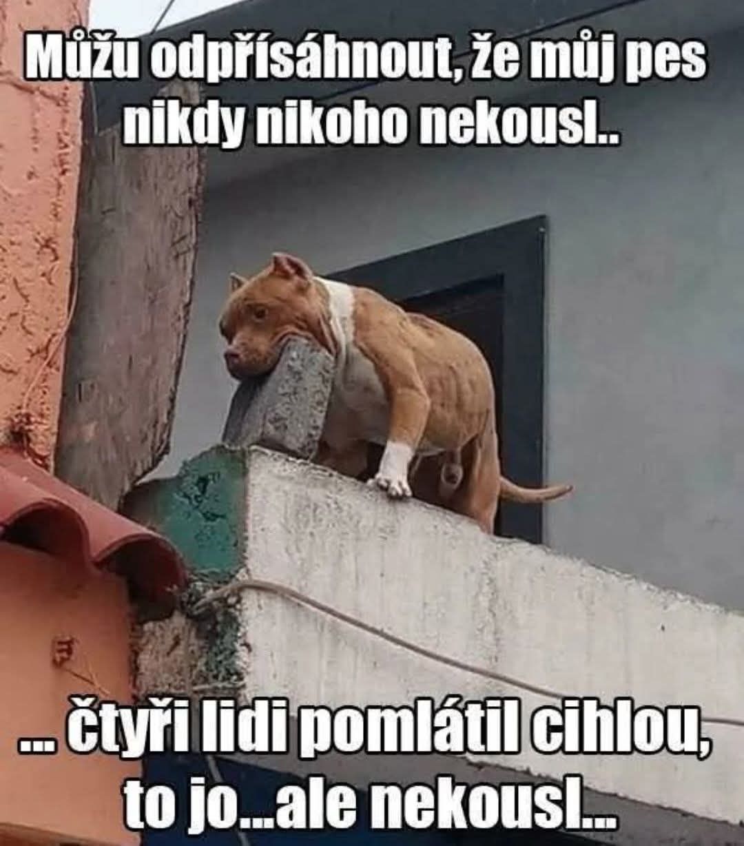 kliknutím fotku zvětšíte