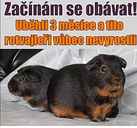 kliknutím fotku zvětšíte