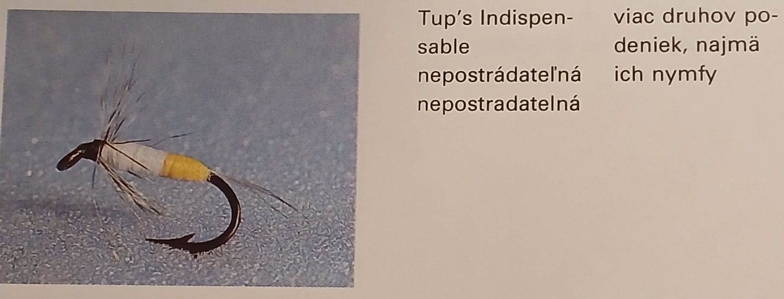 kliknutím fotku zvětšíte