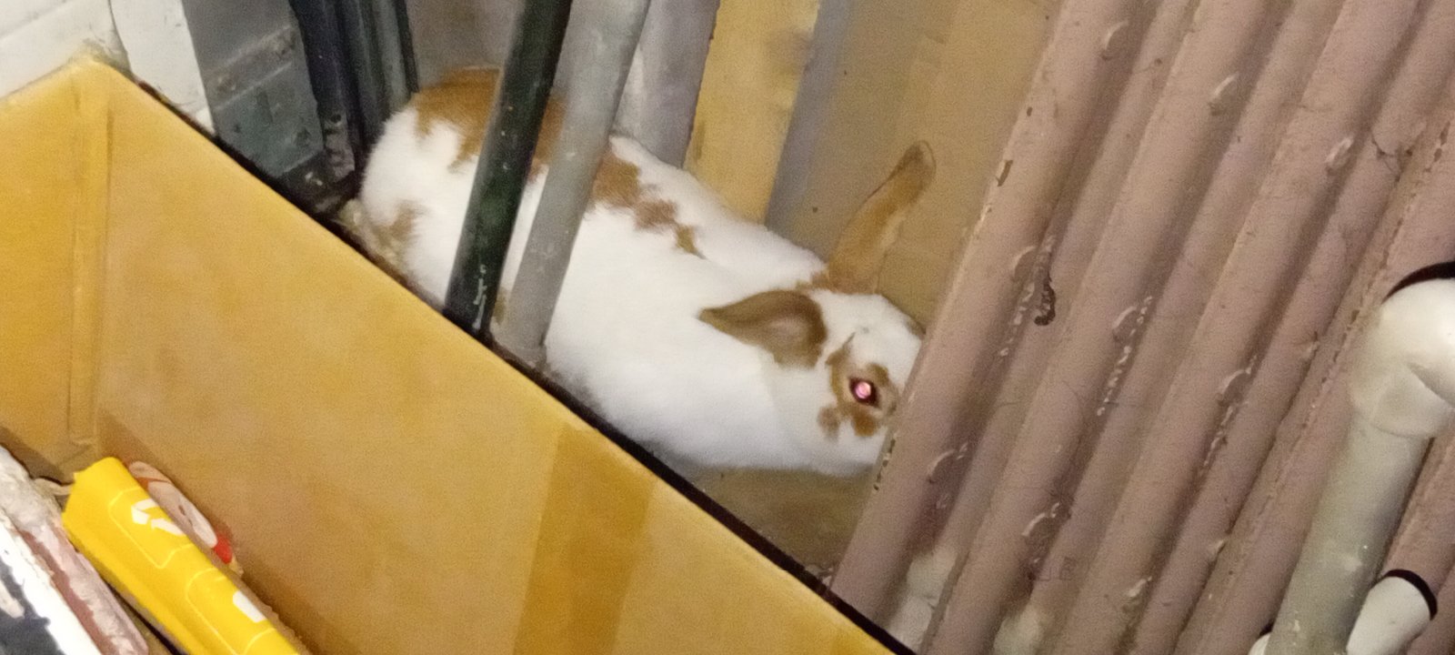kliknutím fotku zvětšíte