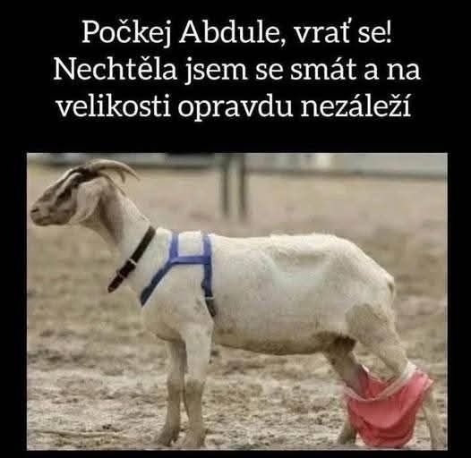 kliknutím fotku zvětšíte
