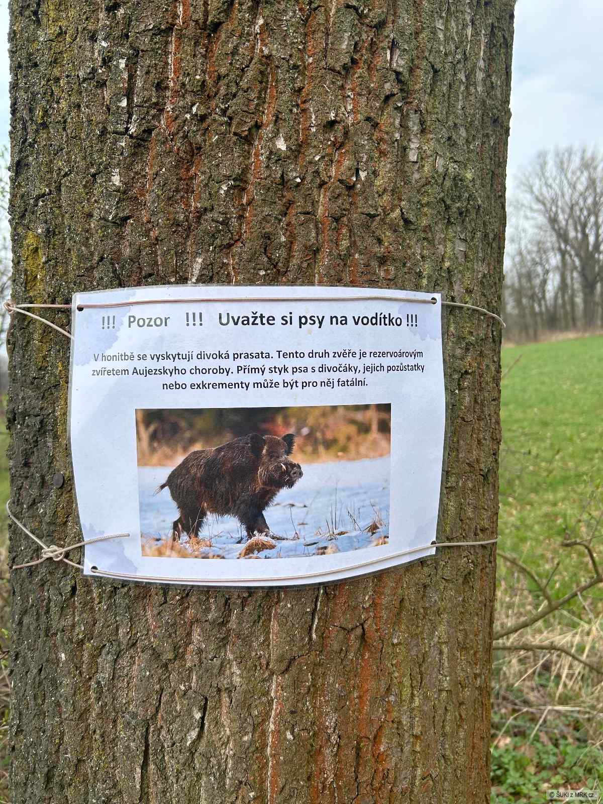 kliknutím fotku zvětšíte