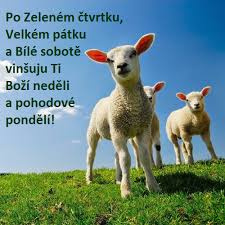 kliknutím fotku zvětšíte