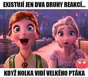 kliknutím fotku zvětšíte