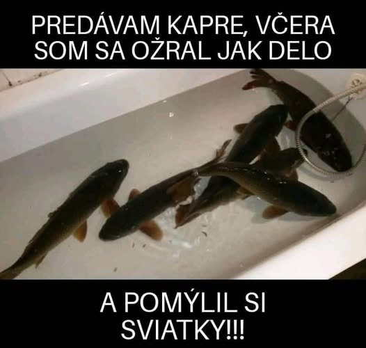 kliknutím fotku zvětšíte