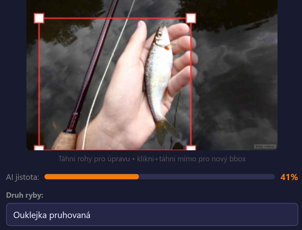 kliknutím fotku zvětšíte