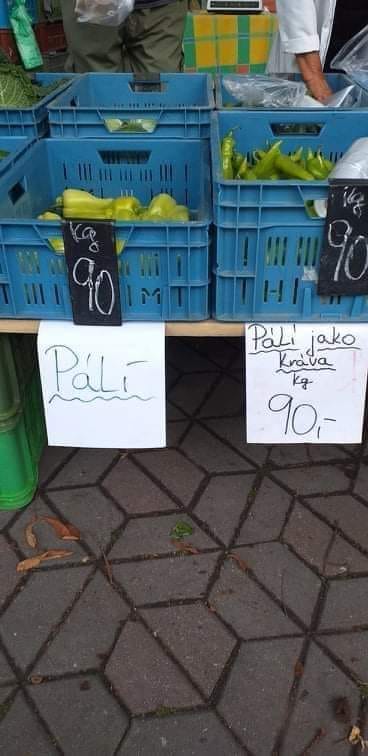 kliknutím fotku zvětšíte