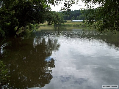 1 foto revíru Šebkův rybník