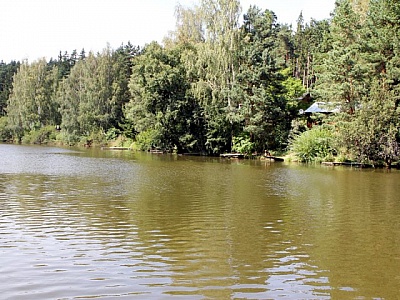 1 foto revíru Rybářství Telč - rybník Hrachovec dolní a rybník Plodový